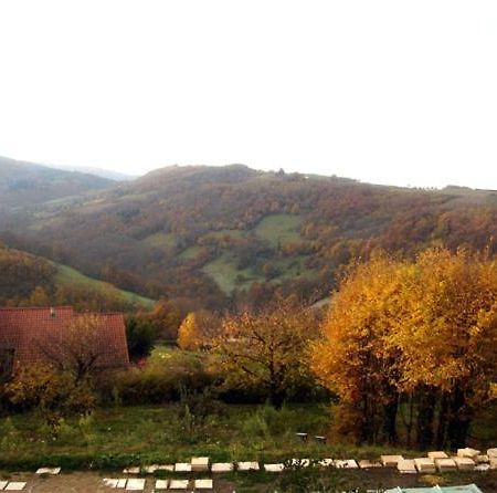 Cadre Paradisiaque Saint-Pierre-la-Palud Esterno foto